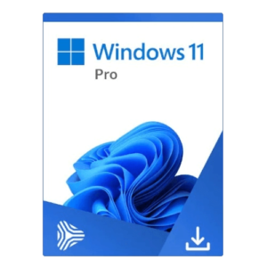 Windows-11-Pro-500×500-1